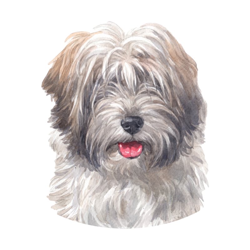 We Should Really Get Back to the Dog: Part&nbsp;one