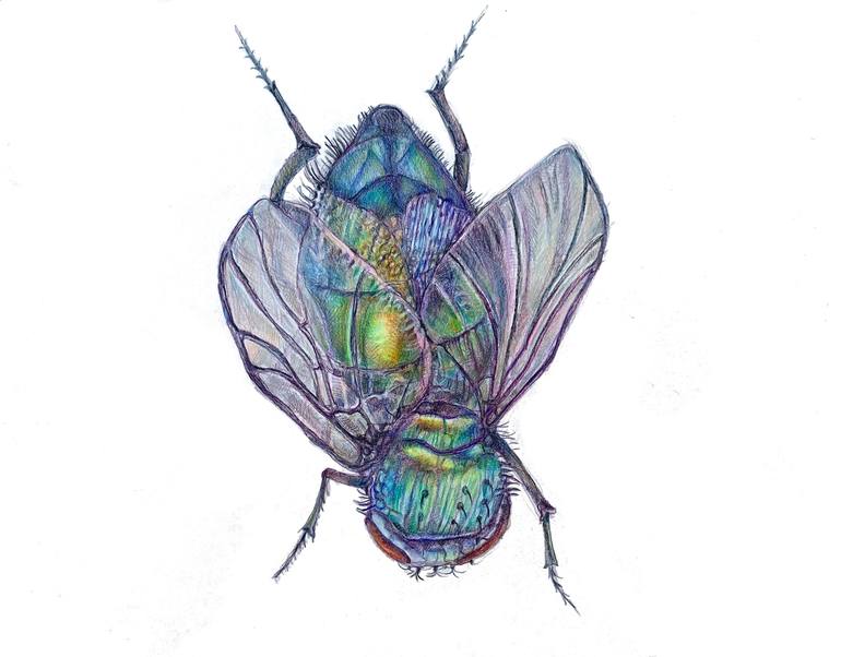 ENCORE: ‘The Low, Malicious&nbsp;Hum