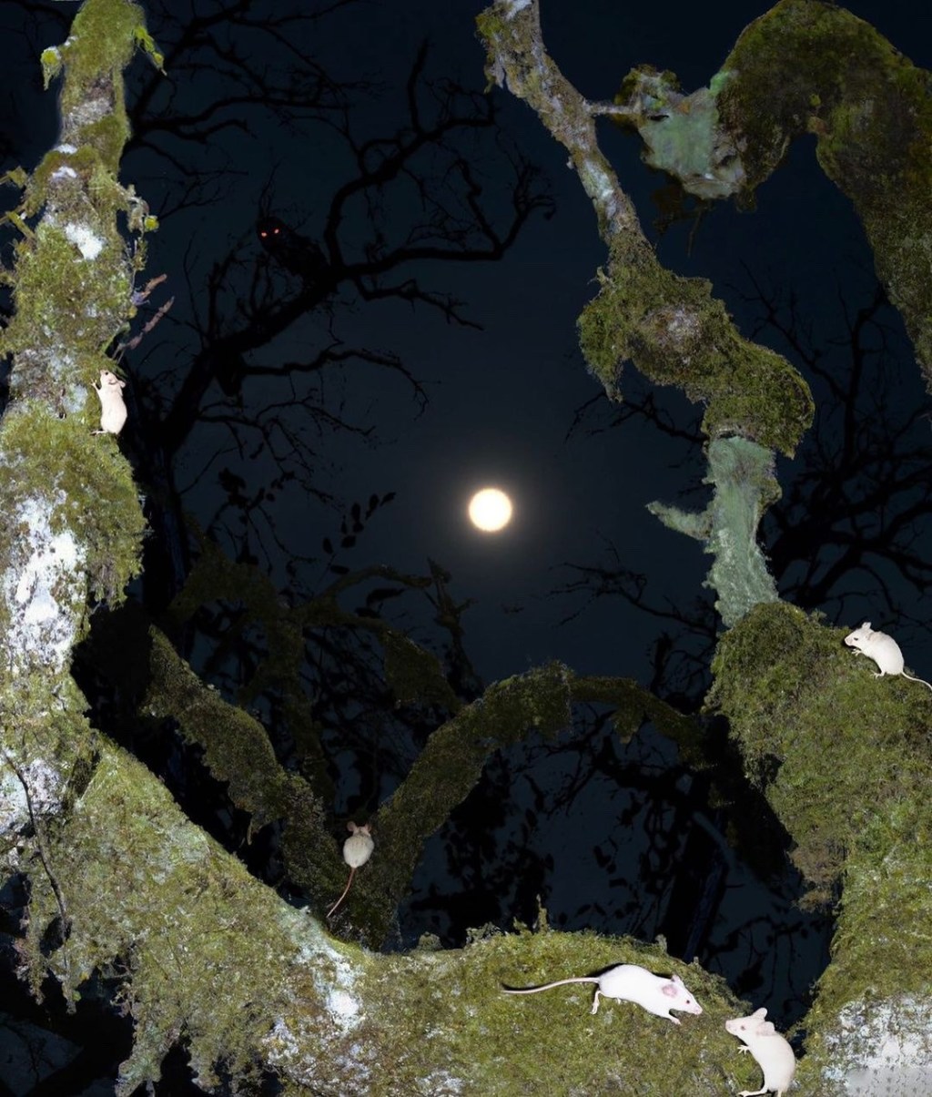 Wednesday, Thursday, Friday&nbsp;Night